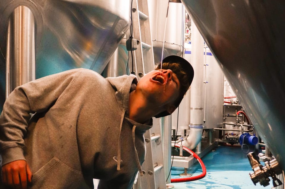 3 Locks Brewing Company: Guided tasting and brewery tour - The brewhouse tour: what you actually get to see