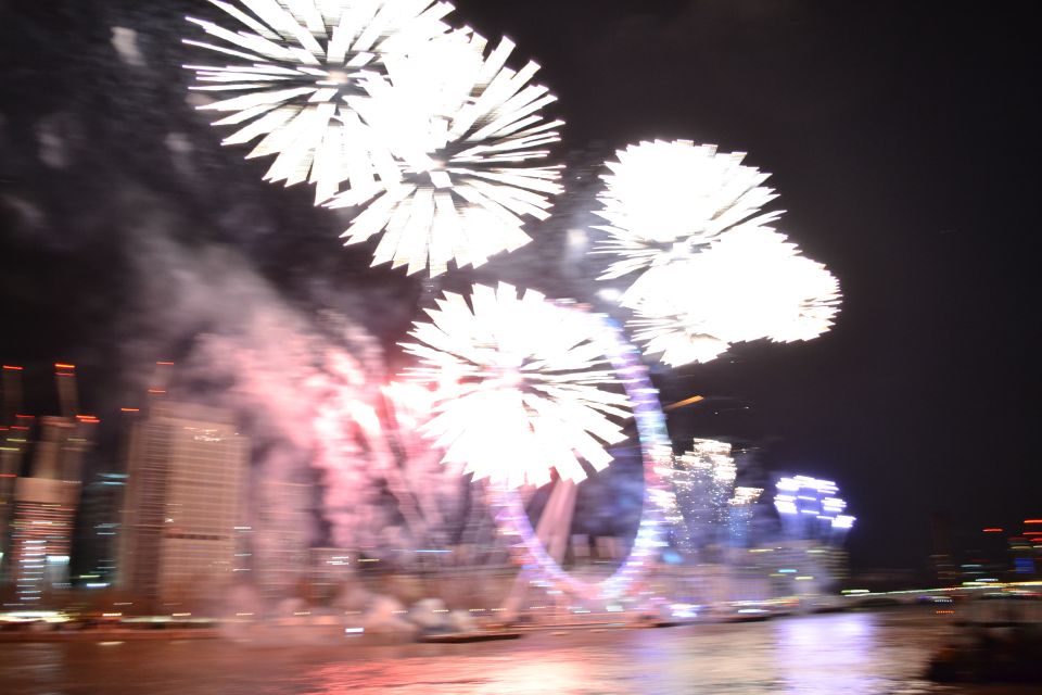 Festive London New Year’s Eve 3-Course Dinner Cruise - Who this cruise suits best (and who should skip it)