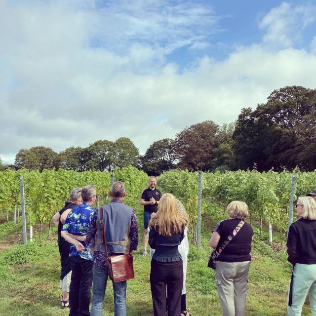 From London: Vintage Bus Wine Tour with Return Train Tickets - Wine Tastings Explained: What At Least 8 English Wines Really Means