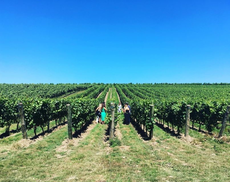From London: Vintage Bus Wine Tour with Return Train Tickets - Price and Value for $214: What You’re Getting, and What You Might Be Missing