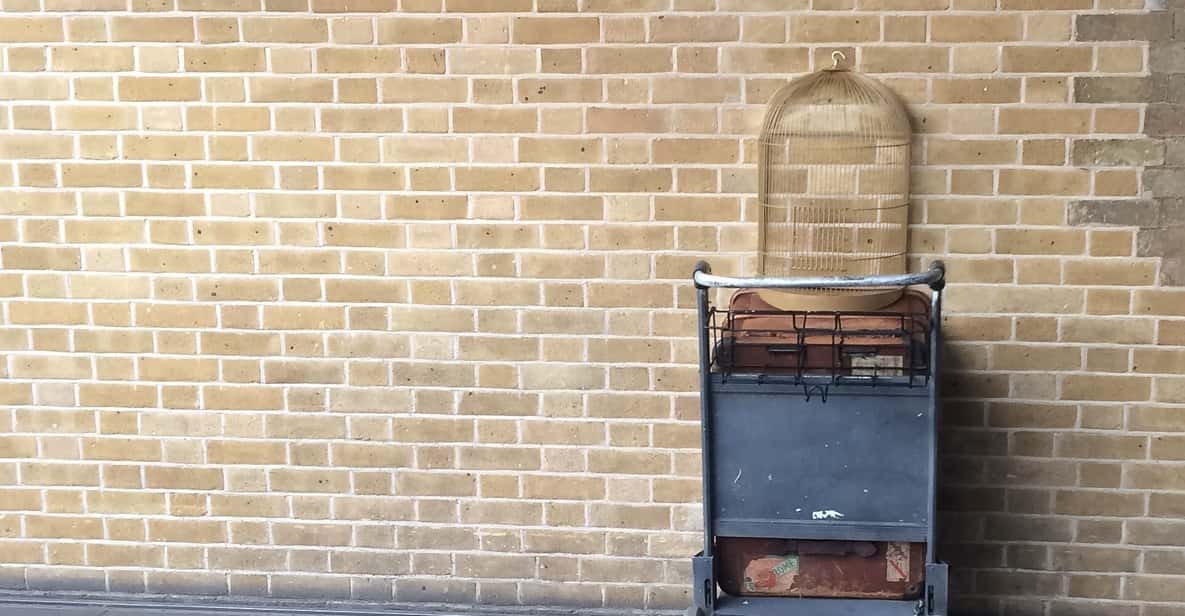 Harry Potter Private Tour of London in Spanish - Key moments on this Harry Potter London tour