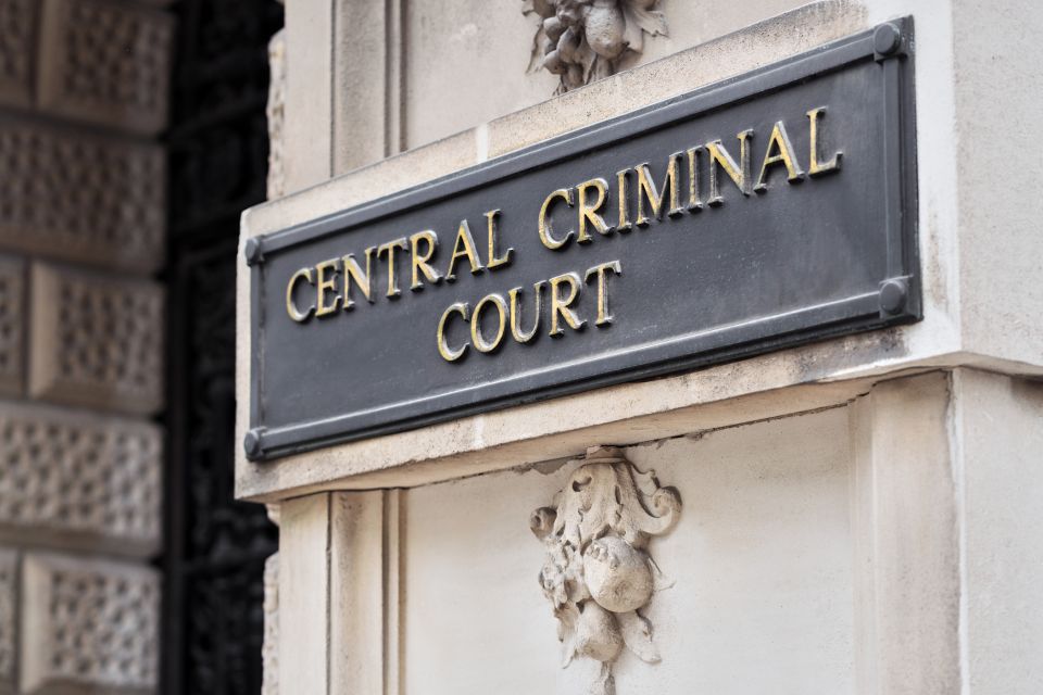 Law in London Private Tour - The “lawyer guide” factor: when it’s a strength, and when to calibrate expectations