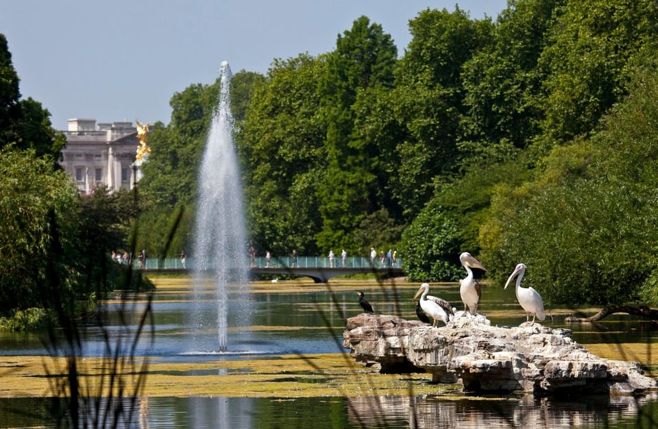 London: Buckingham Palace State Rooms & Royal Walking Tour - The guide effect: why the walking part changes the palace visit