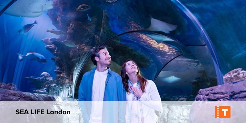 London City pass: Top attractions, Hop on Hop off & tours - What the London City Pass includes (and how to think about it)