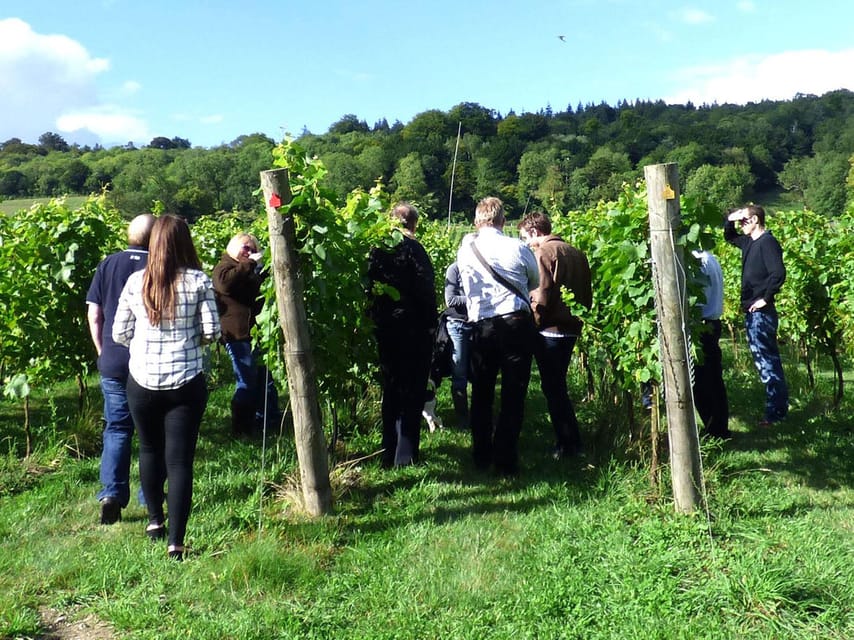 London: Full-Day English Wine Tour with Lunch - Practical tips so you enjoy the tastings (not fight them)