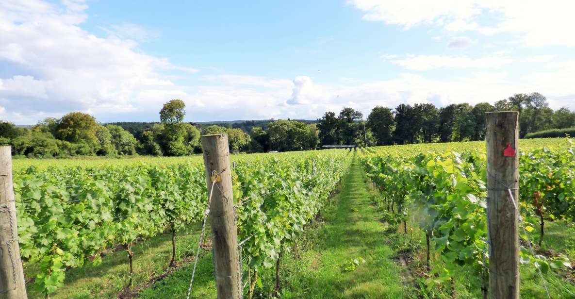 London: Full-Day English Wine Tour with Lunch - Meeting near London Bridge and the 8-hour flow
