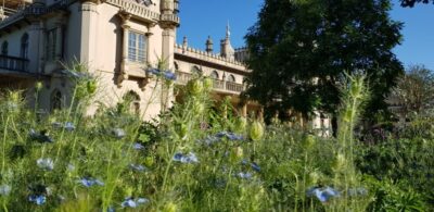 London: Guided Day Trip to Brighton and Seven Sisters - Brighton’s Royal Pavilion: seeing the story behind the buildings