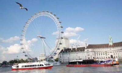 London: Harry Potter Tour, River Cruise & The London Dungeon - Harry Potter walking tour: how the 3-hour route really feels