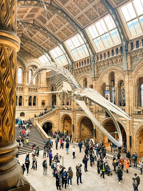 London: Natural History Museum Guided Tour - Meet Up Outside Exhibition Road and Glide Through Security
