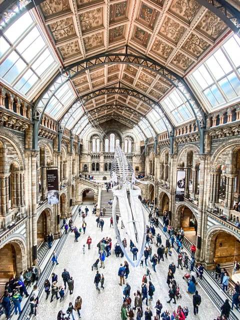 London: Natural History Museum Guided Tour - A 2.5-Hour Guided Route Through 80 Million Specimens