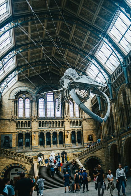 London: Natural History Museum Guided Tour - Giant Sequoia Cross-Section and Darwin’s First Edition Moment