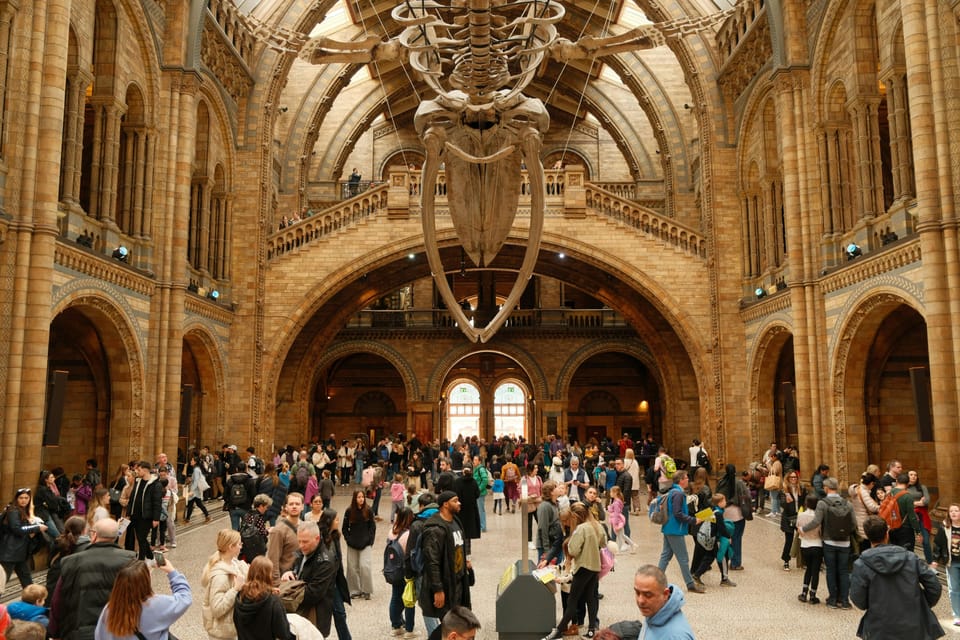 London: Natural History Museum Guided Tour - Fossil Power: Sophie the Stegosaurus, Dodo, and Archaeopteryx