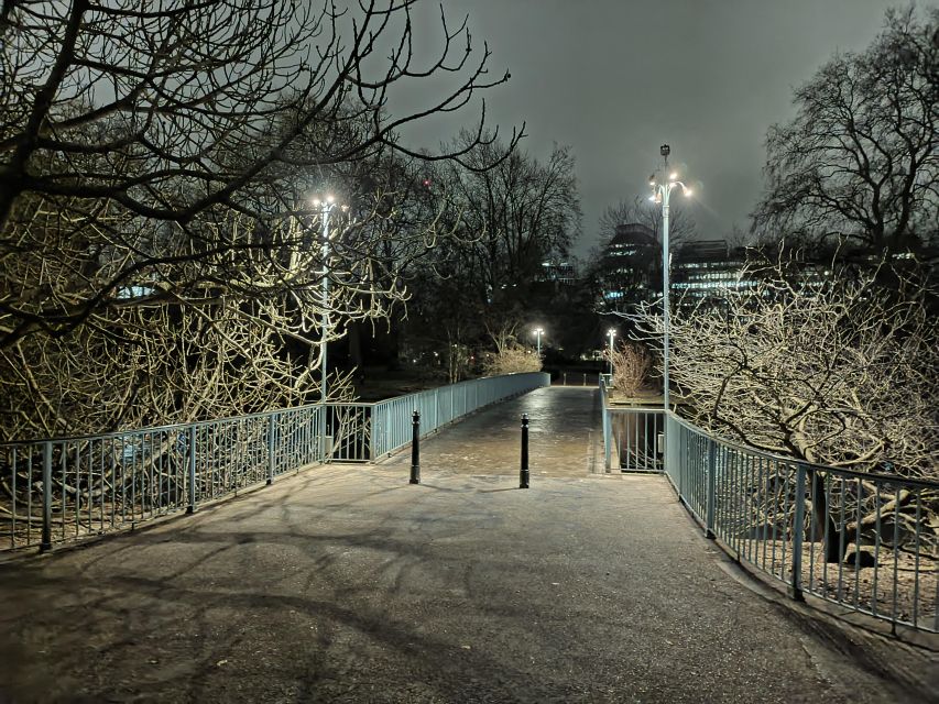 London : Royal Westminster By Night Walking Tour - Photo moments and comfort: what to bring for night walking